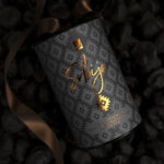 COK.SUVENIR-DUNJA-KAJSIJA-SLJIVA U COKOLADI 140G SVSRB REEL